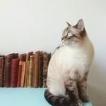 Alejandro Ruiz avatar